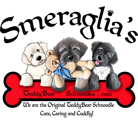 smeraglia schnoodles available